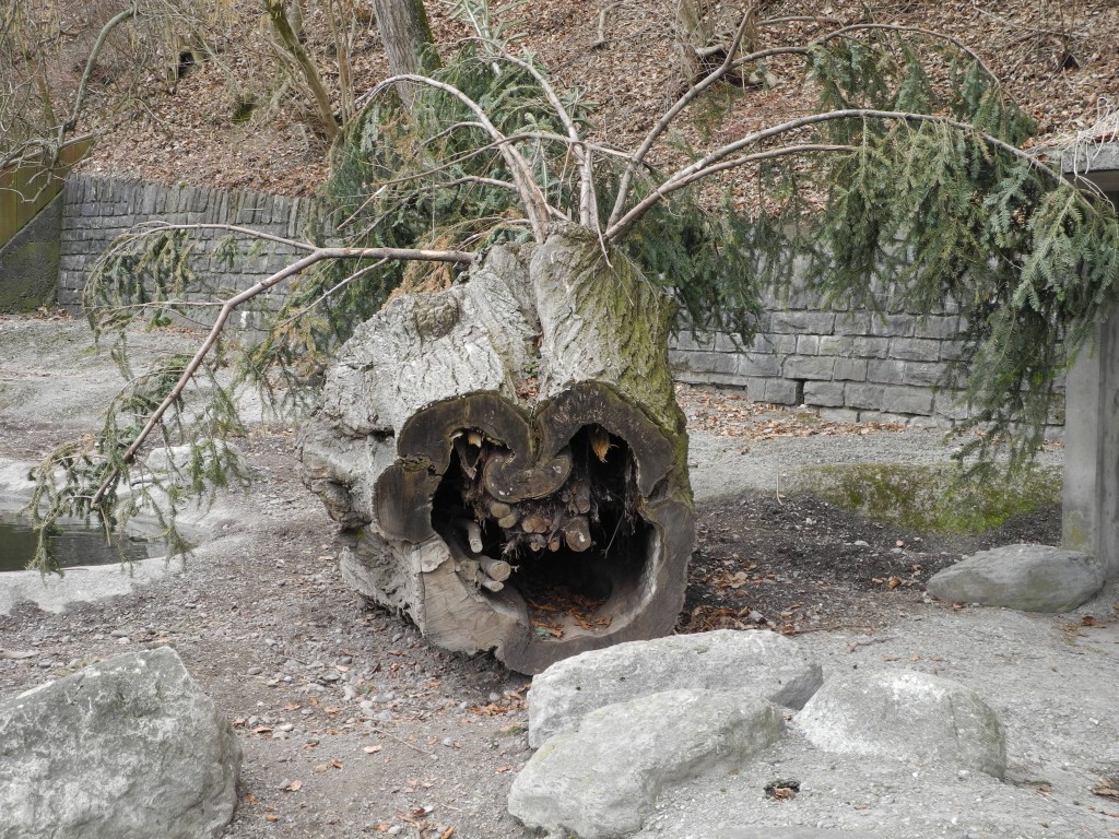 DSCN2956